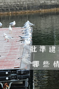 批準逮捕書、起訴意見書中需要哪些情形